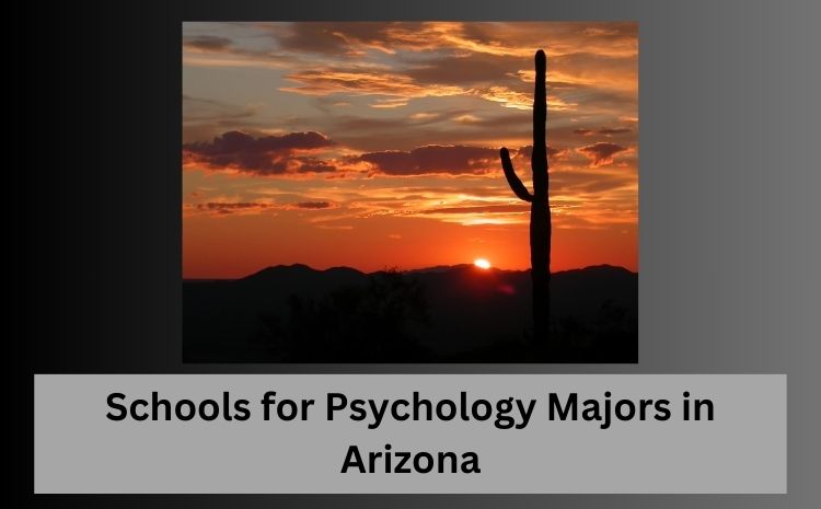 Schools for Psychology Majors in Arizona