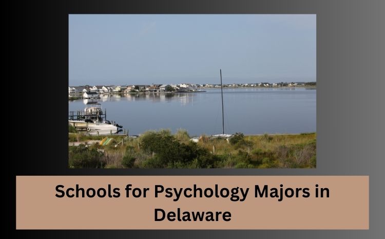 schools for Psychology Majors in Delaware.