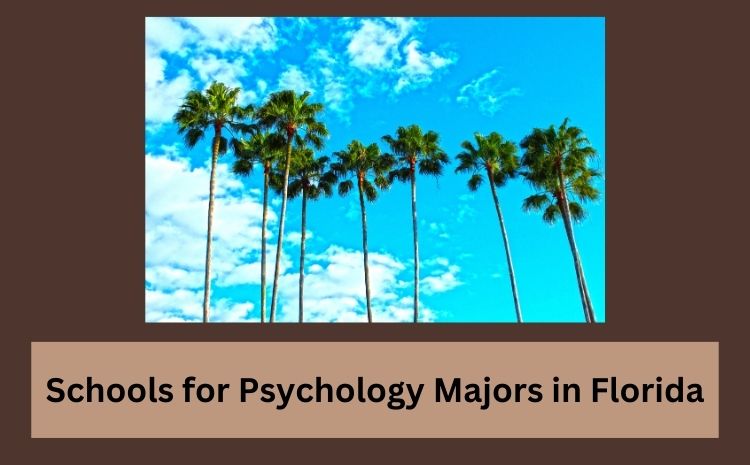 Schools for Psychology Majors in Florida