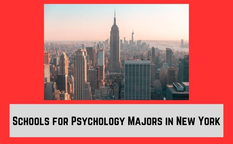 Schools for Psychology Majors in New York