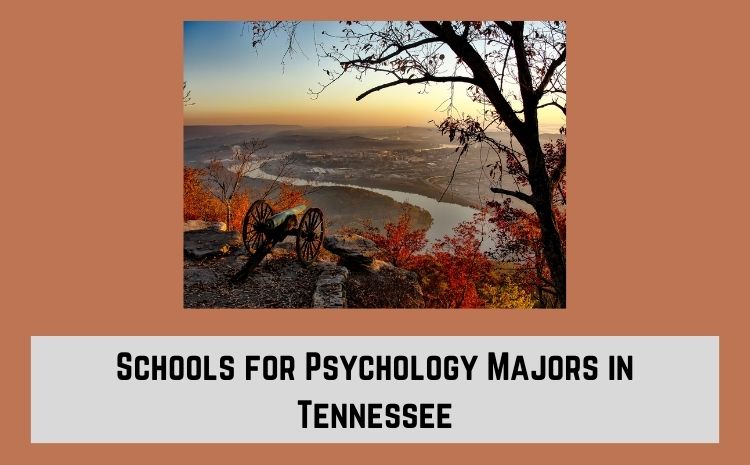Schools for Psychology Majors in Tennessee