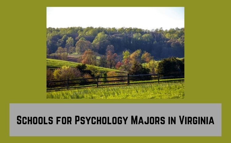 Schools for Psychology Majors in Virginia